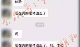 小孩爆料视频大全最新版,童言无忌，趣味横生